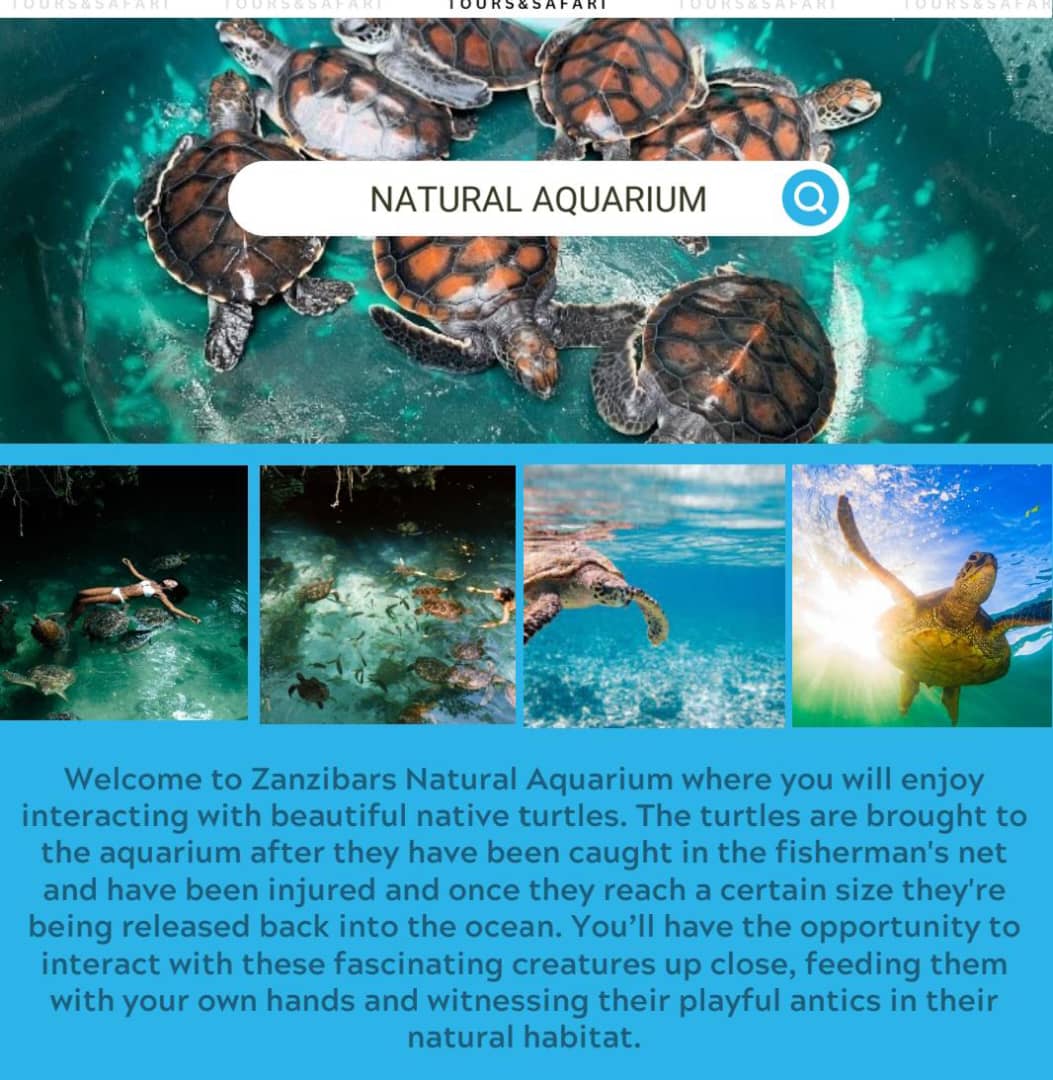 Natural Aquarium